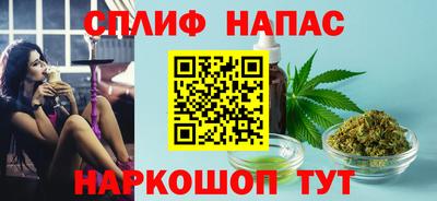 гидра Шахты