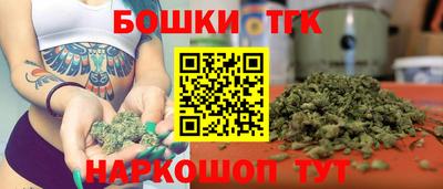 гидра Шахты