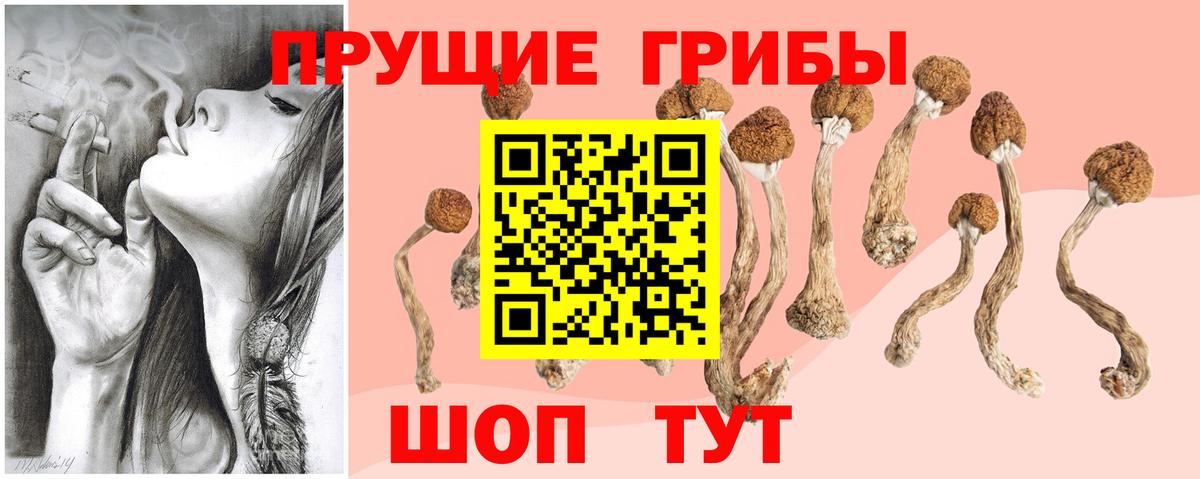 Галлюциногенные грибы GOLDEN TEACHER Воткинск